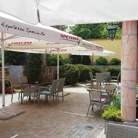 Todoroff Wine 5*