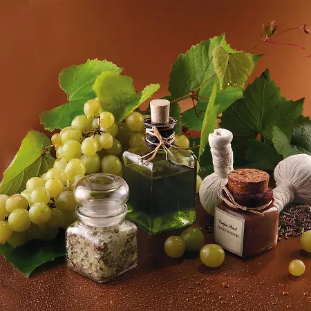Todoroff Wine Готель