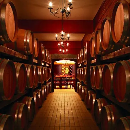 Todoroff Wine Готель Brestovica (Rodopi)